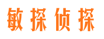 海陵市婚外情调查